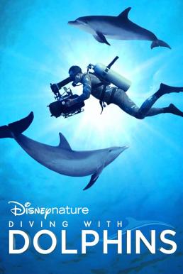 Diving with Dolphins