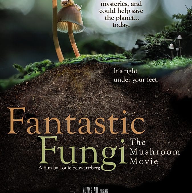 Fantastic Fungi