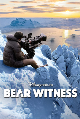 Bear Witness (2022)